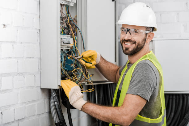  French Mp, CA Electrician Pros